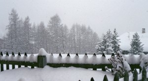 image007_84