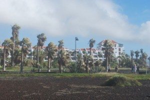 DSC_0265_2